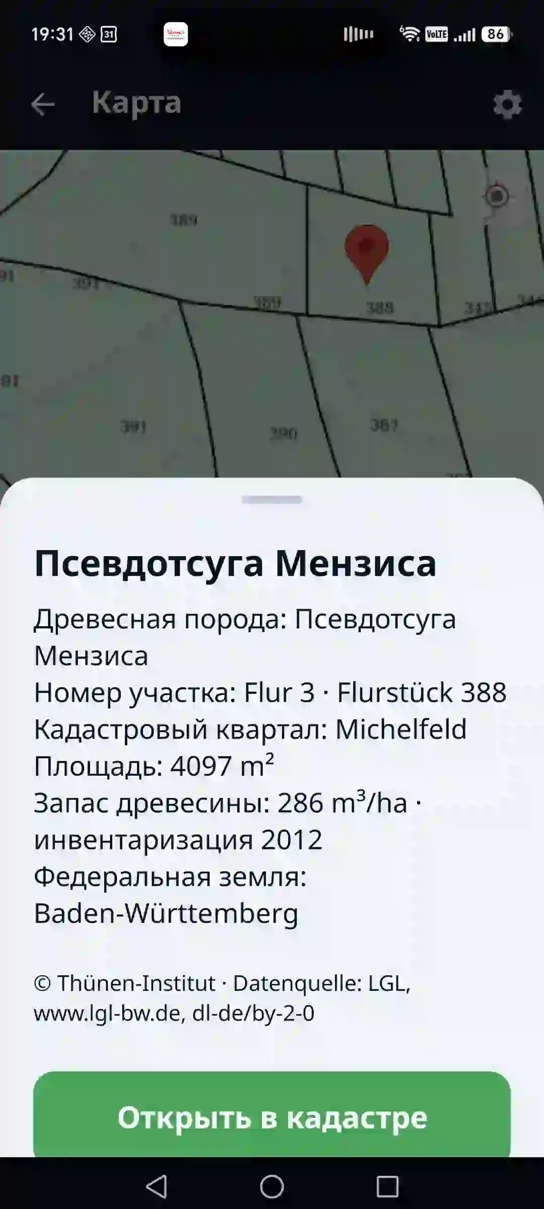 Лесной атлас в приложении — участок и насаждение на карте