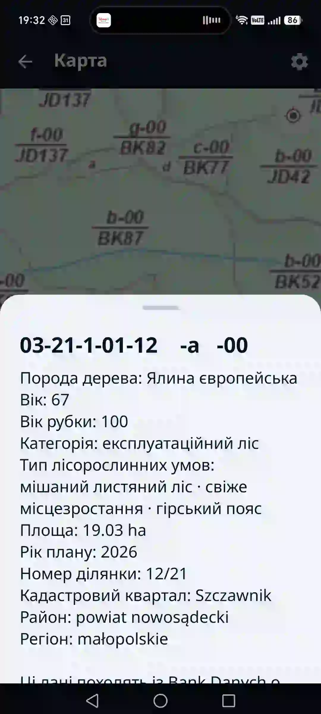Лісовий атлас у застосунку — ділянка та насадження на карті